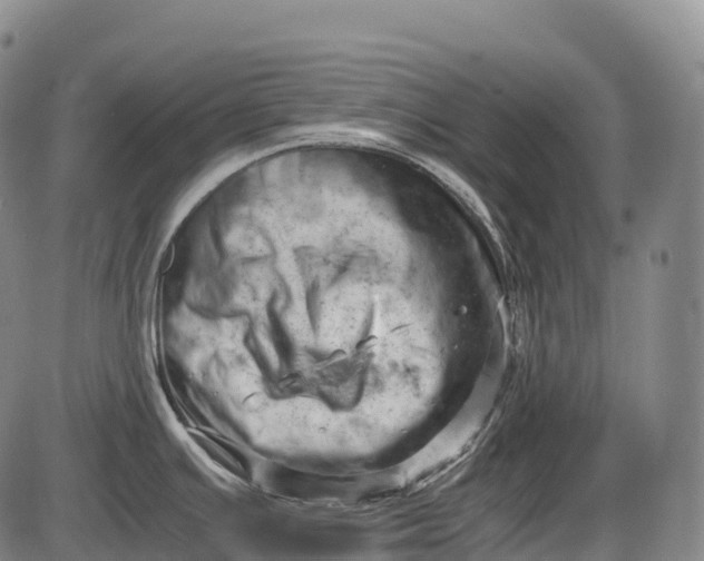 X0000085751391200703301351