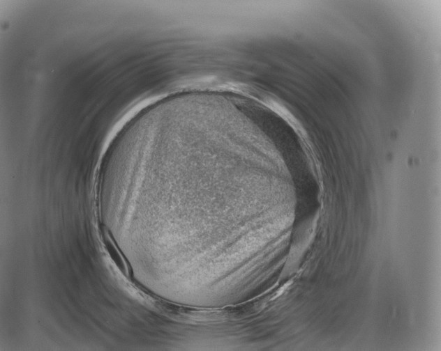 X0000085751392200703301351