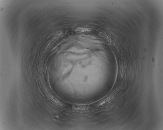 X0000085751393200703301350