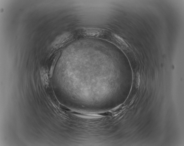 X0000085751394200703301350