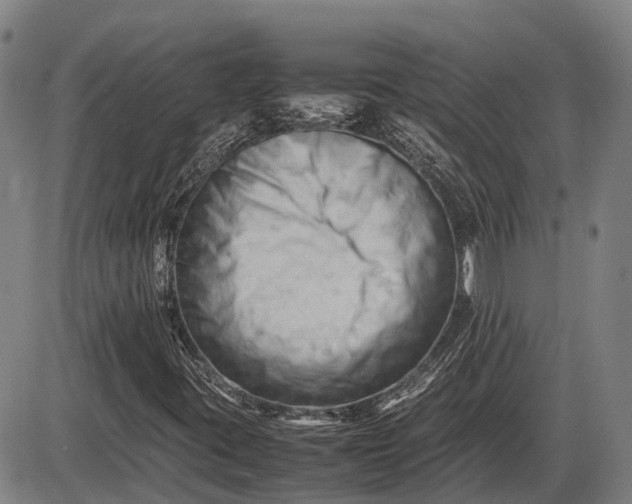 X0000085751395200703301350