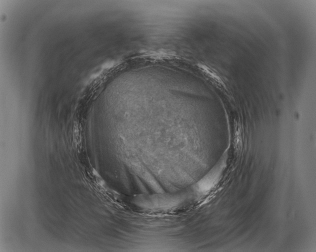 X0000085751398200703301350