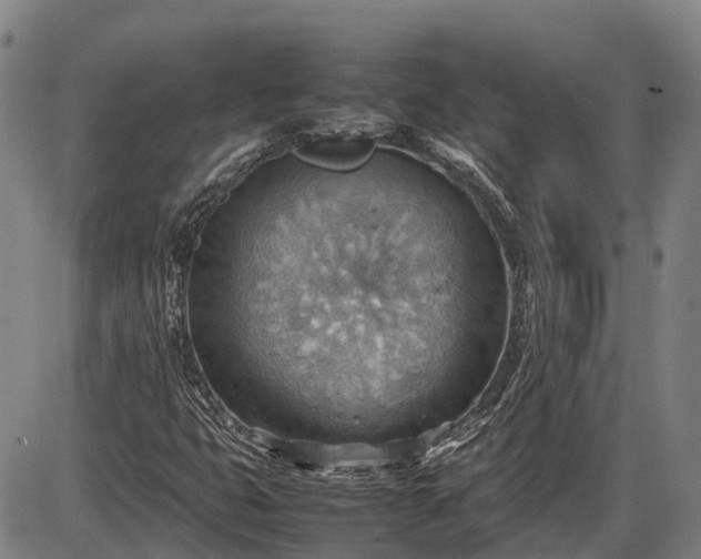 X0000085751399200703301350