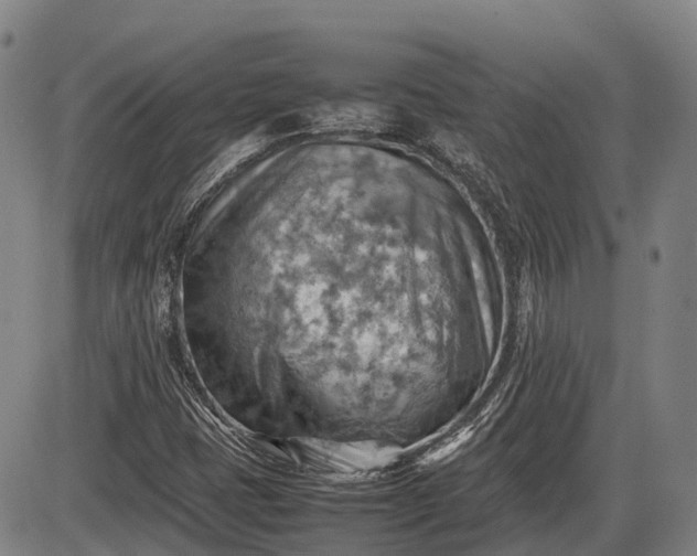 X0000085751401200703301350