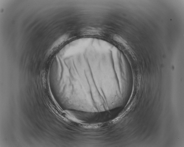 X0000085751403200703301350