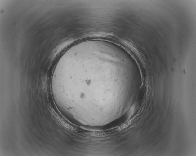 X0000085751404200703301350