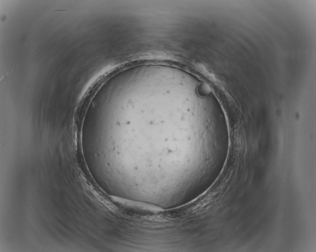 X0000085751408200703301350