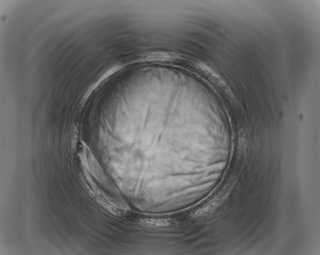 X0000085751409200703301350