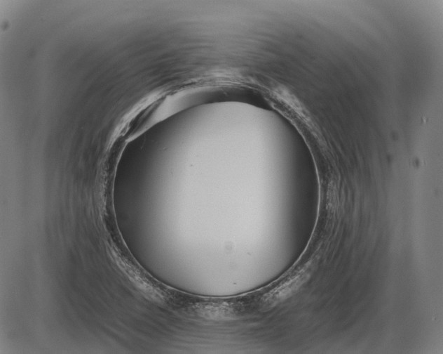 X0000085751410200703301350