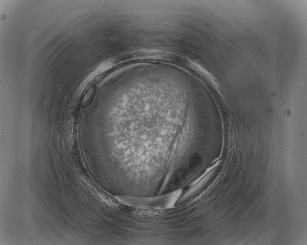 X0000085751411200703301350