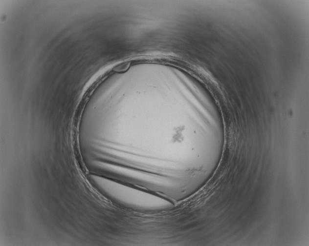 X0000085751412200703301350