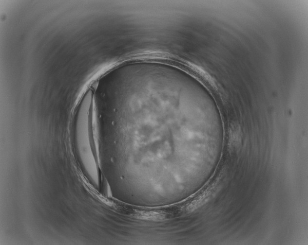 X0000085751413200703301350