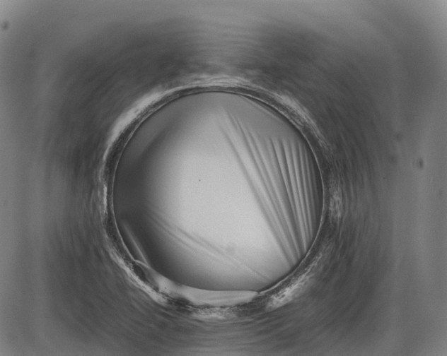 X0000085751414200703301350