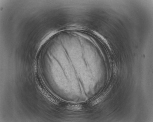 X0000085751415200703301350