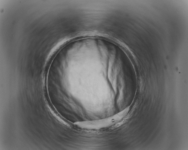 X0000085751416200703301350