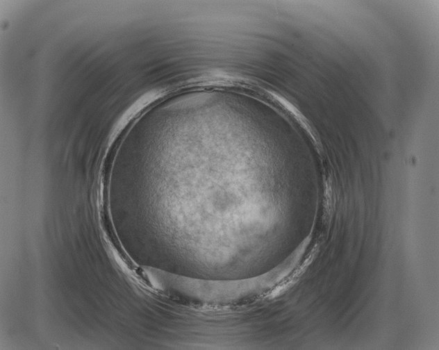 X0000085751418200703301350