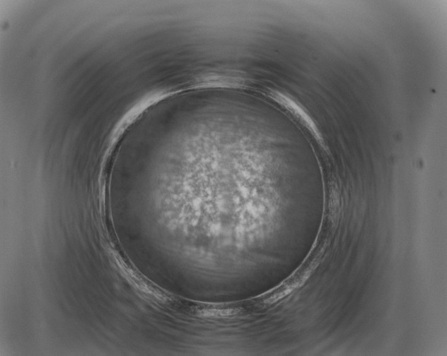 X0000085751419200703301350