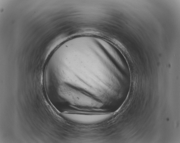 X0000085751420200703301350