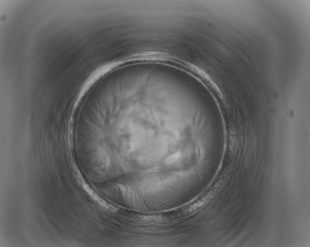 X0000085751421200703301350