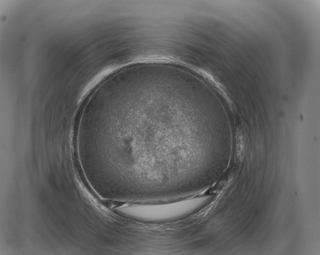 X0000085751422200703301350