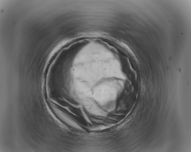 X0000085751424200703301350