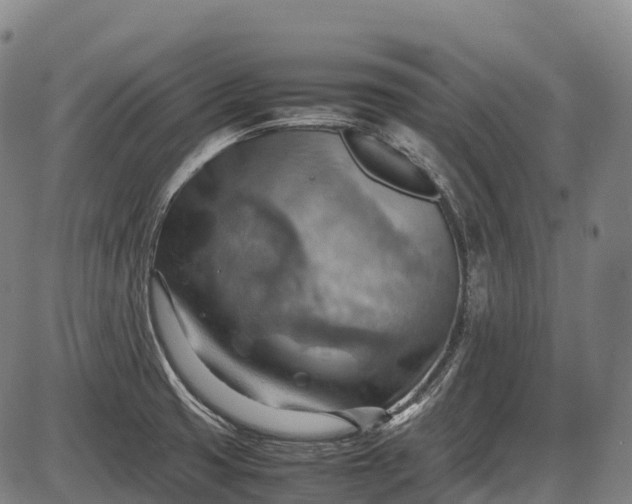 X0000085751425200703301350