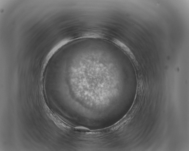 X0000085751427200703301350