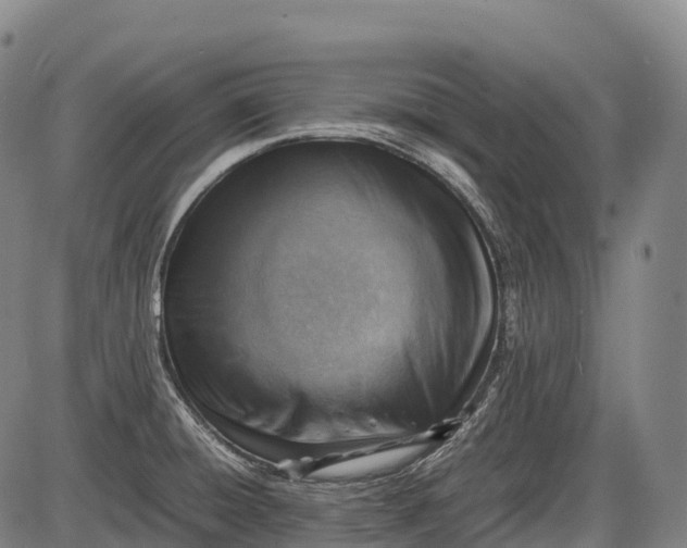 X0000085751428200703301350