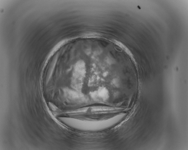 X0000085751429200703301350