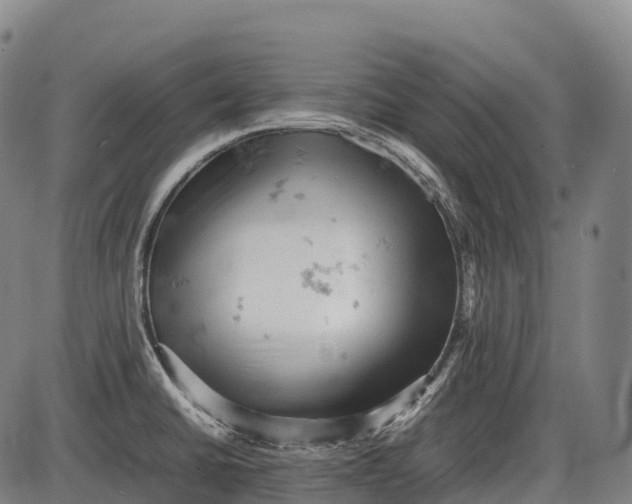 X0000085751430200703301350