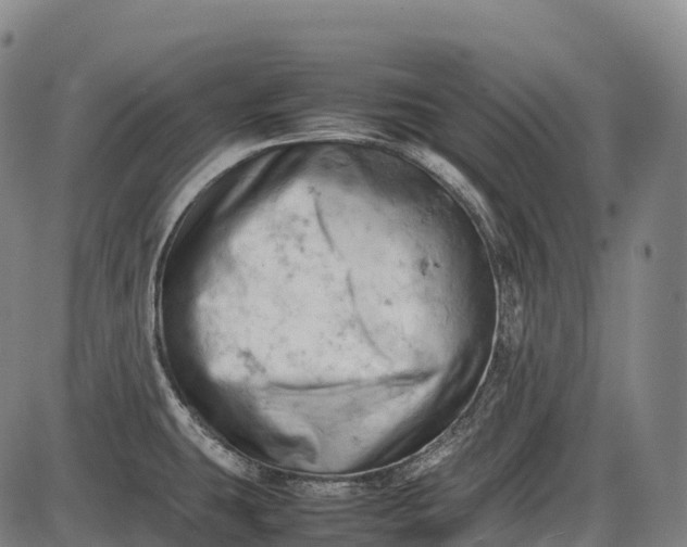 X0000085751431200703301351