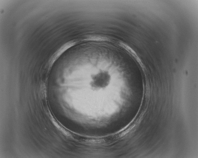 X0000085751433200703301351