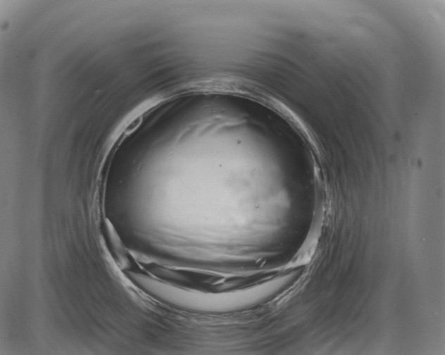 X0000085751434200703301351