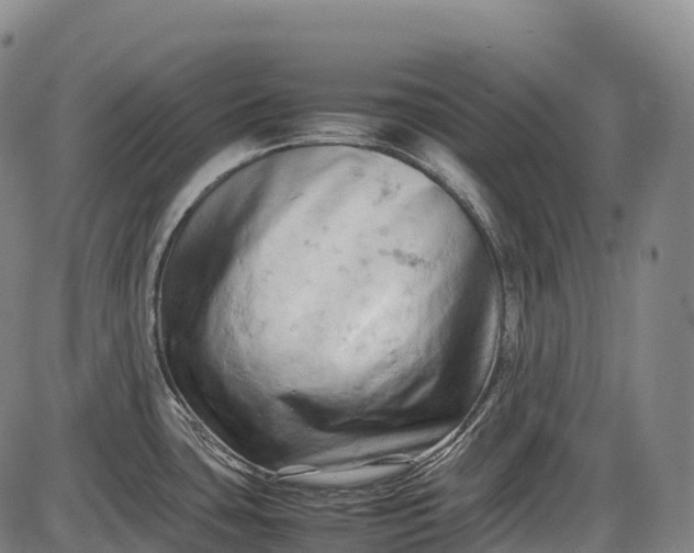 X0000085751435200703301351