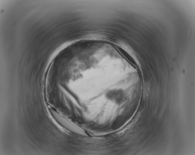 X0000085751437200703301351