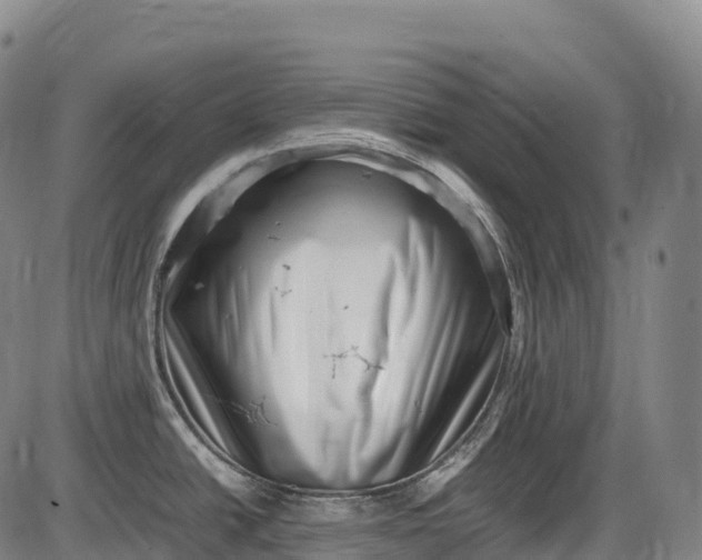 X0000085751438200703301351