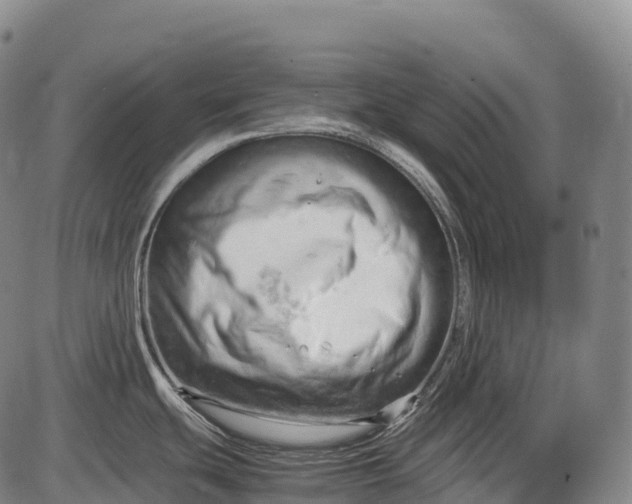 X0000085751439200703301351