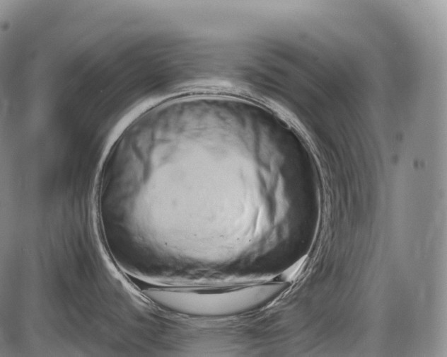 X0000085751440200703301351