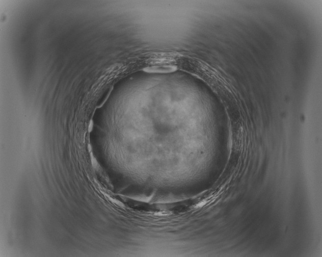 X0000085751441200703301350