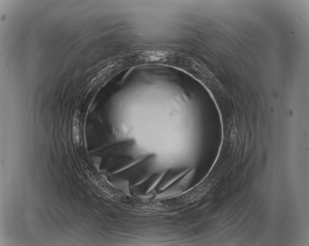 X0000085751442200703301350