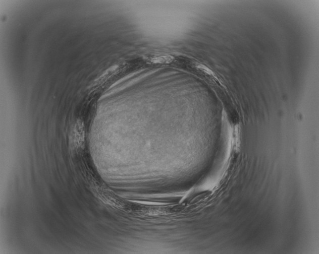 X0000085751443200703301350