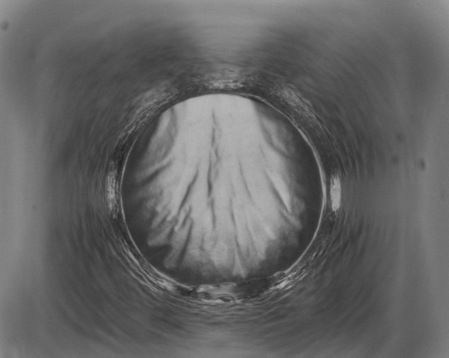 X0000085751444200703301350