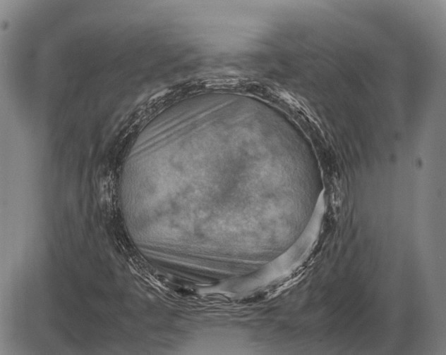 X0000085751445200703301350