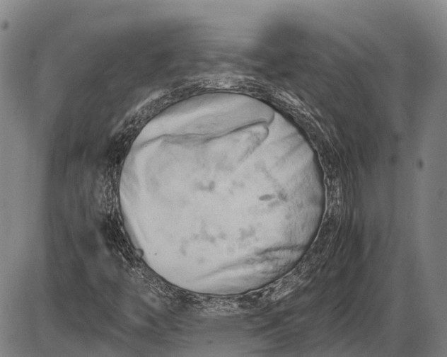 X0000085751446200703301350