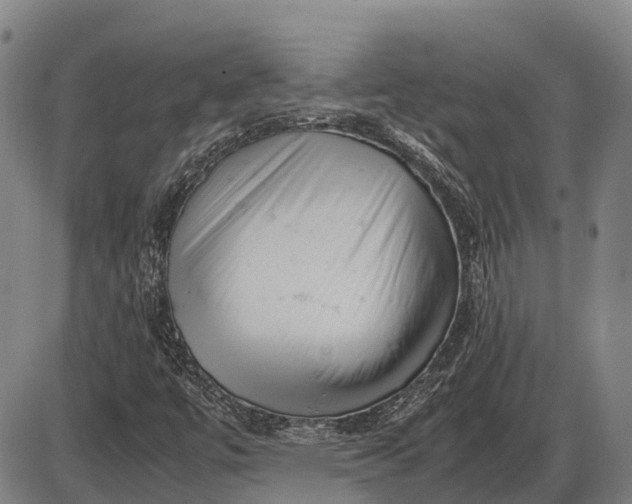 X0000085751447200703301350