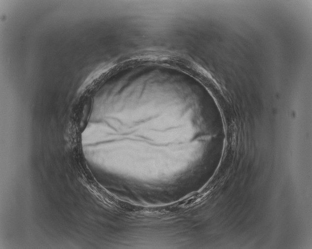 X0000085751448200703301350