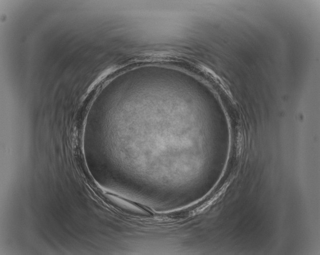 X0000085751449200703301350