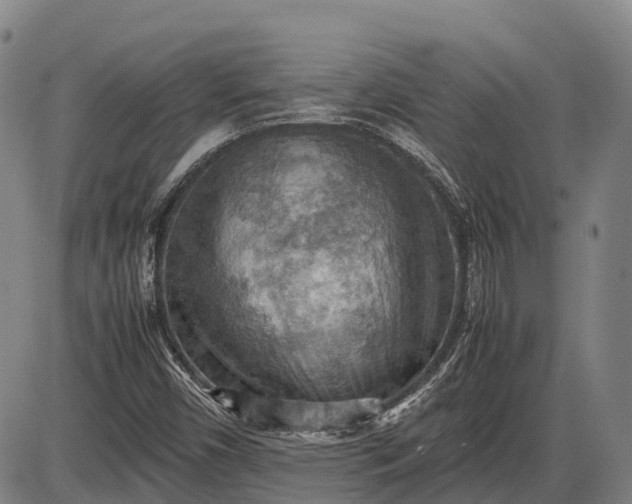 X0000085751450200703301350