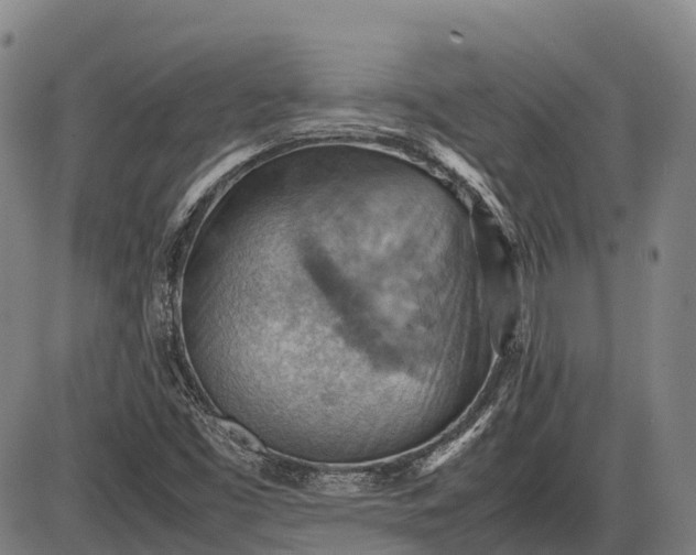 X0000085751453200703301350