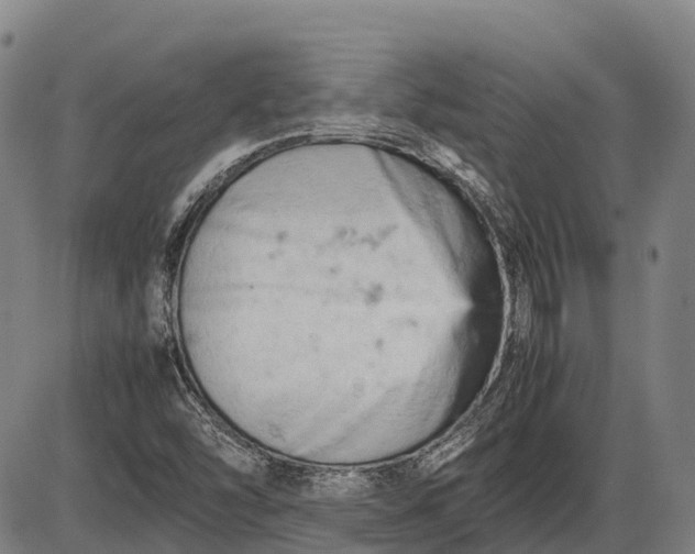 X0000085751454200703301350